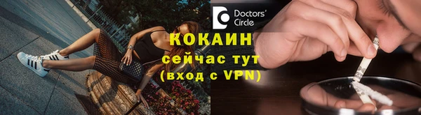 винт Абаза