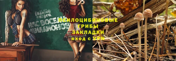 соль ск Алзамай