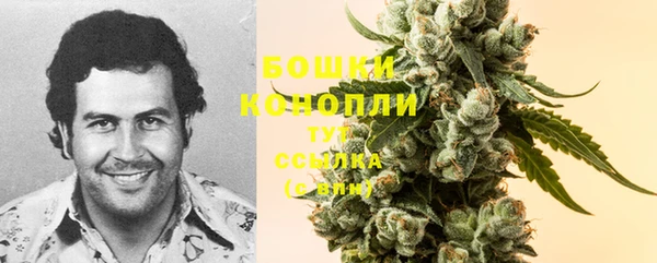 дживик Новокубанск