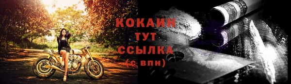 винт Абаза